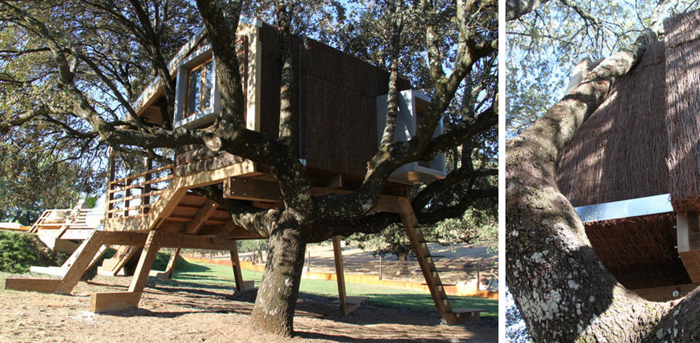 Casa en el árbol enraizada., Urbanarbolismo Urbanarbolismo Jardines de estilo rural