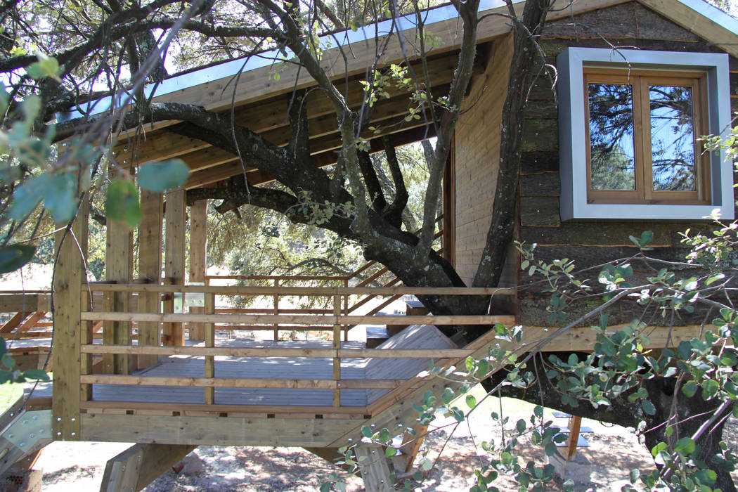 Casa en el árbol enraizada., Urbanarbolismo Urbanarbolismo Jardines de estilo rústico