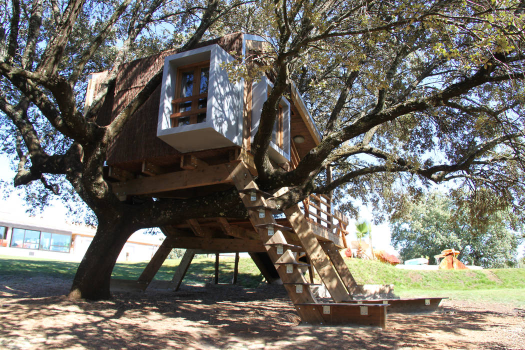 Casa en el árbol enraizada., Urbanarbolismo Urbanarbolismo Casas de estilo moderno Planta,Árbol,Madera,Rama,Cielo,Edificio,Maletero,Ocio,Césped,Ramita