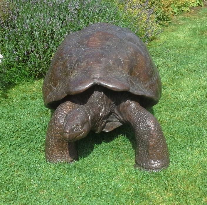 Galapagos Tortoise II Gill Parker sculpture ArtworkSculptures