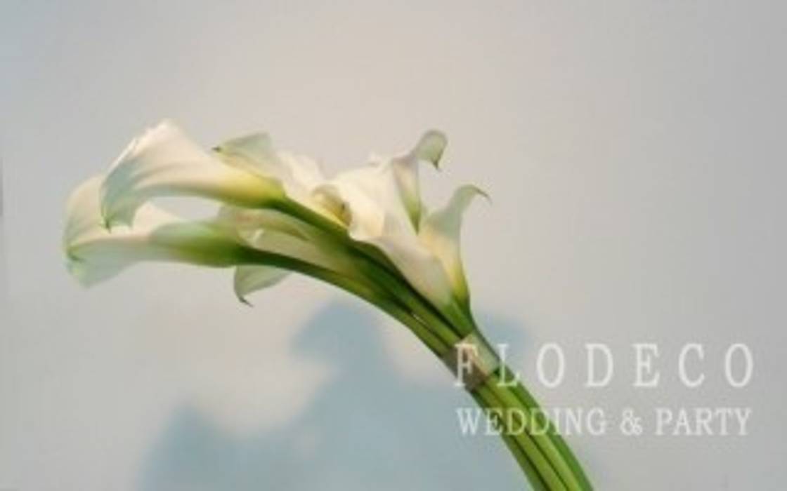 부케 FLODECO 모던스타일 거실 액세서리 & 장식