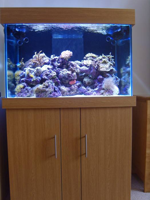 36″LX24″HX24″W STANDARD MARINE TANK WITH CABINET & HOOD Prime Aquariums Ltd Living room