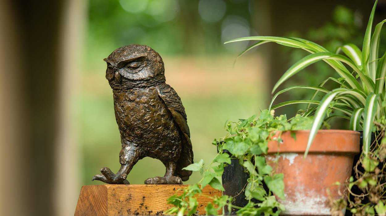 LITTLE OWL II (Passing Time), Marie Shepherd Marie Shepherd Other spaces Sculptures