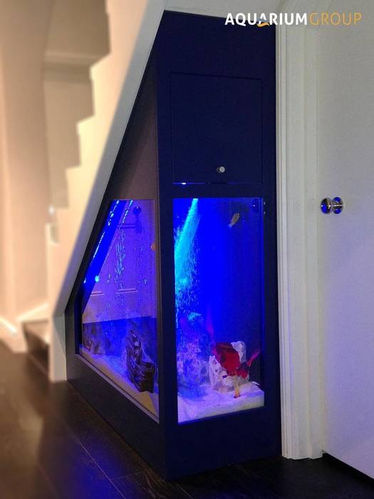 Under Stairs Aquarium AquariumGroup Modern Corridor, Hallway and Staircase