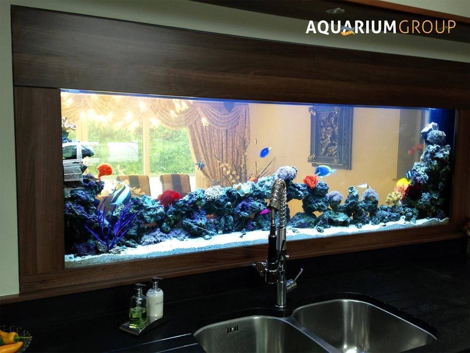 Through Wall Kitchen Splashback Aquarium AquariumGroup Cozinhas modernas