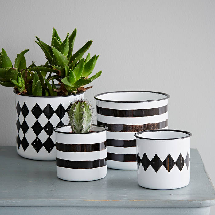 Home Accessories, rigby & mac rigby & mac Eclectic style garden Plants & accessories