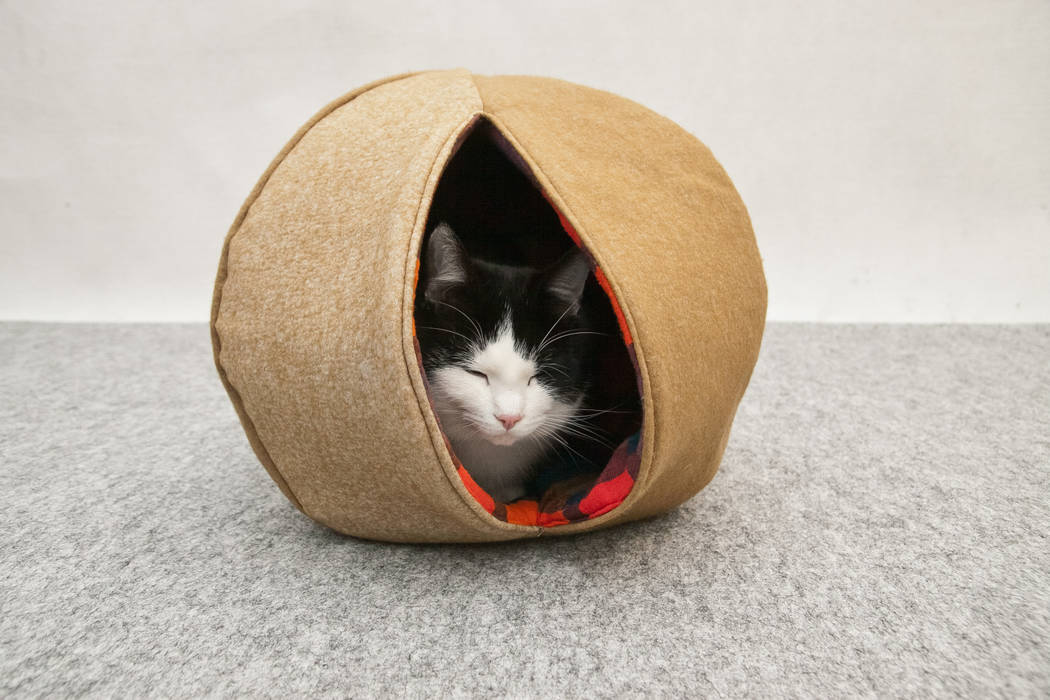 Katzenhöhle und Katzenkorb in einem, katzenkugel katzenkugel Otros espacios Accesorios para mascotas