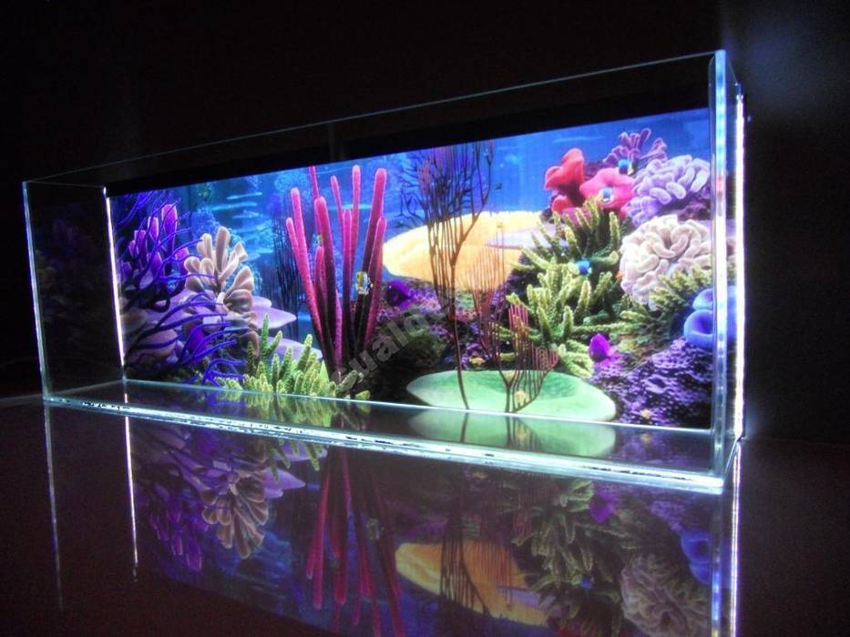 Akwarium Led Visual Design Więcej pomieszczeń Akcesoria dla zwierząt