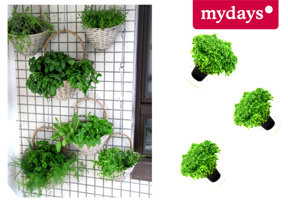 Kräutergarten DIY, mydays mydays Mediterranean style balcony, veranda & terrace Plants & flowers