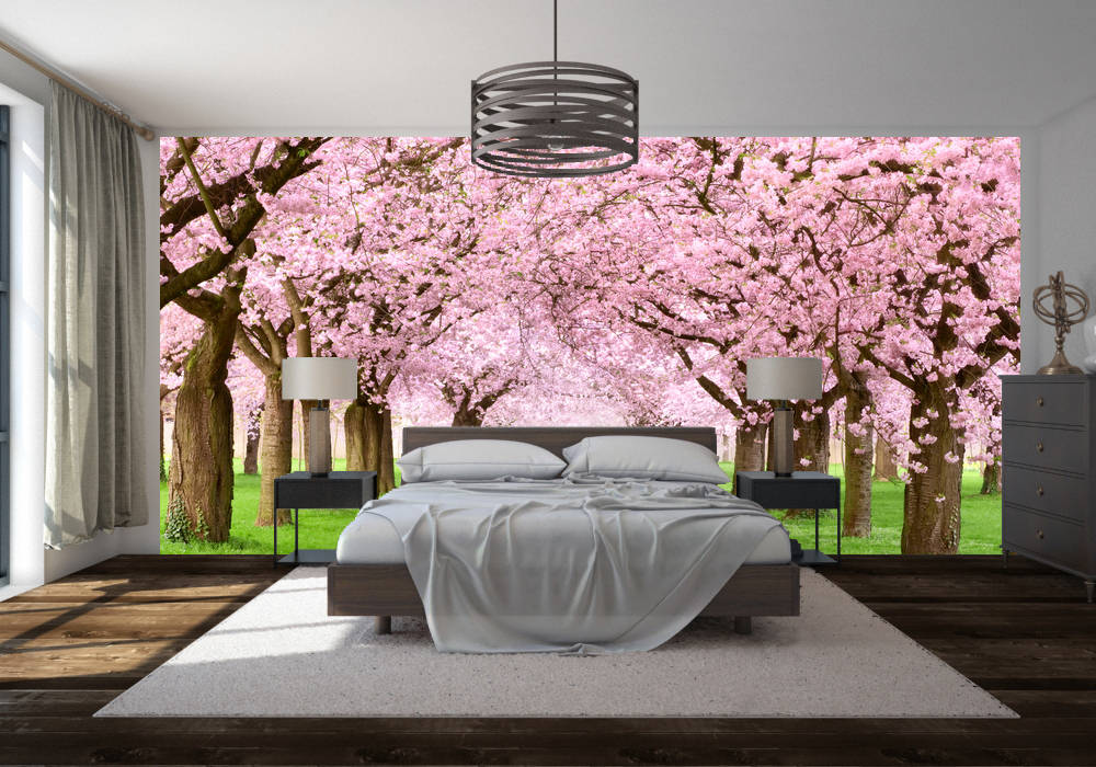 Bedroom wall mural Transform a Wall Autres espaces Photos et illustrations