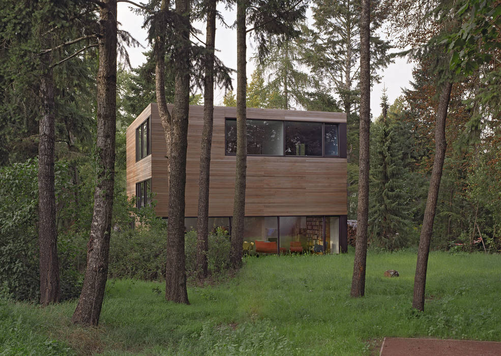 Blick vom Garten Helm Westhaus Architekten Minimalistische Häuser Pflanze,Gebäude,Baum,Holz,Natürliche Landschaft,Grundstück,Kofferraum,Hütte,Himmel,Gras