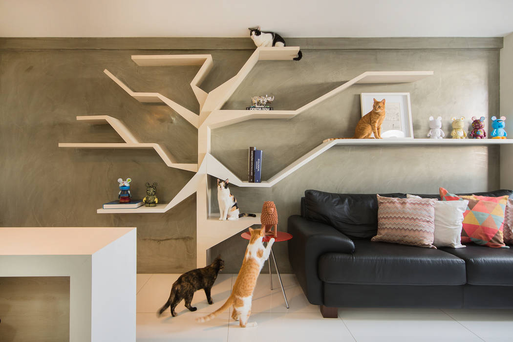 Sete Gatos em 50m² homify Salas de estar modernas