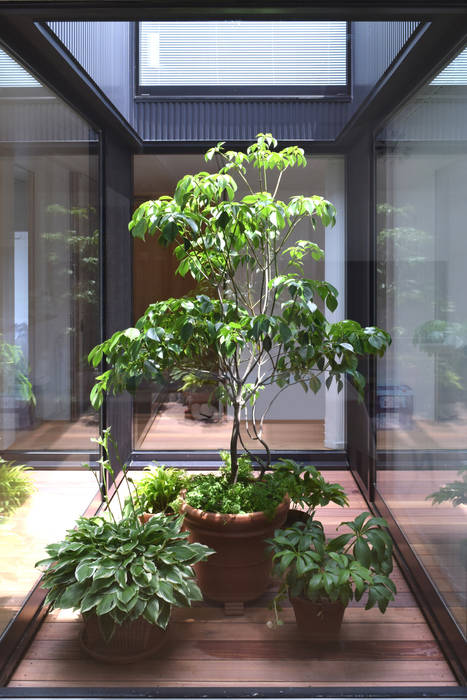 LIGHT COURT with PLANTS FURUKAWA DESIGN OFFICE Jardines modernos: Ideas, imágenes y decoración