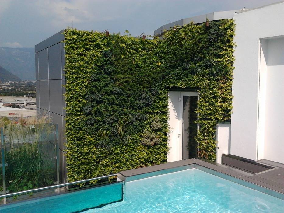 Il giardino verticale in terrazza balcone, veranda ...