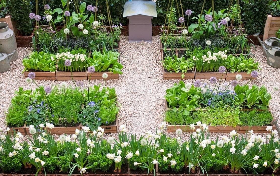 ​London Kitchen Garden - Small Garden Design by LS+L homify Сад в рустикальном стиле Дерево Эффект древесины kitchen garden,Potager,Town garden,Small garden