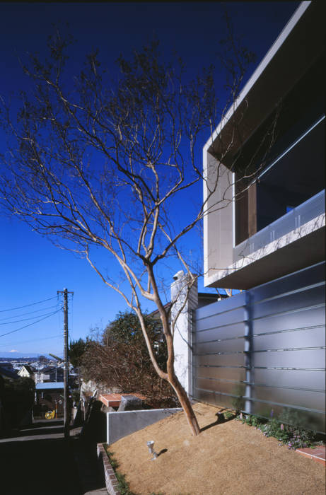 百日紅の家 | RC造高級注文住宅, Ｍアーキテクツ｜高級邸宅 豪邸 注文住宅 別荘建築 LUXURY HOUSES | M-architects Ｍアーキテクツ｜高級邸宅 豪邸 注文住宅 別荘建築 LUXURY HOUSES | M-architects Modern Evler