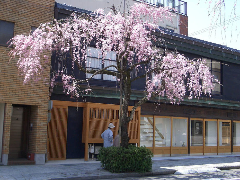 黒漆喰の壁に枝垂れ桜が映える 一級建築士事務所 ヒモトタクアトリエ オリジナルな 家