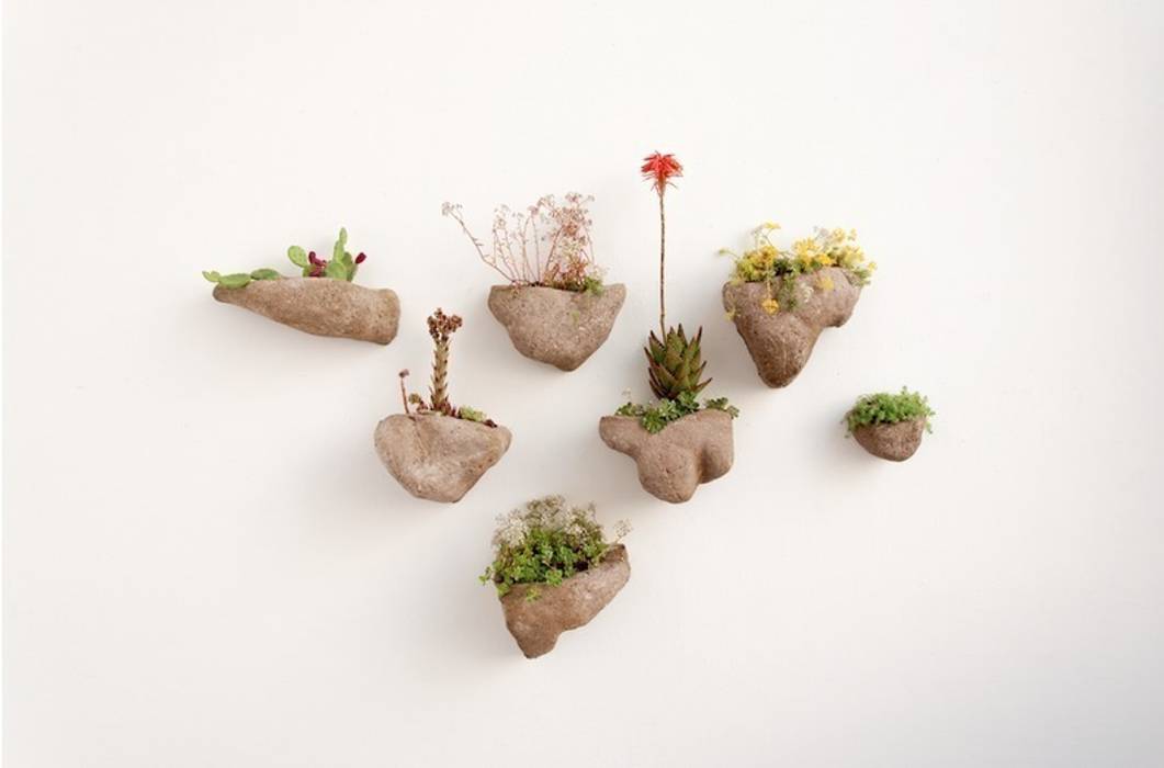 Wedding Plant - Mineral, Julie Martin Julie Martin สวนภายใน ตกแต่งภายใน