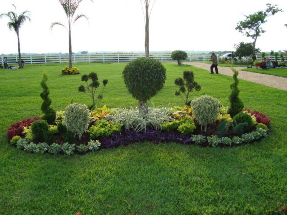 Jardín irregular en forma de cacahuate Vivero Sofia Jardines modernos