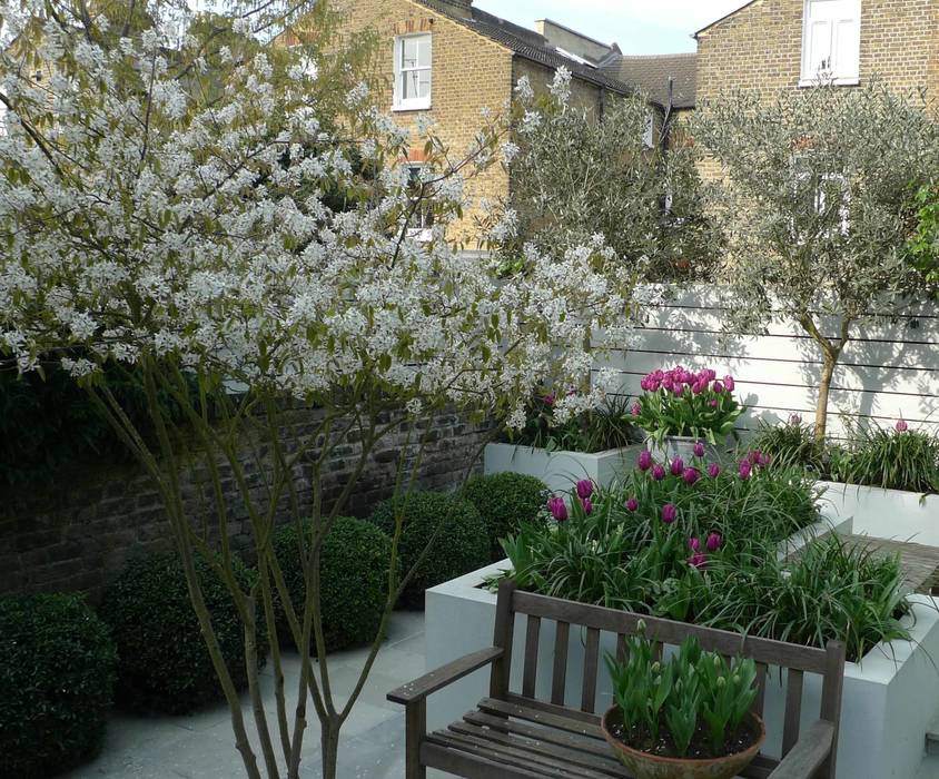 Small urban garden Ruth Willmott Jardines de estilo moderno