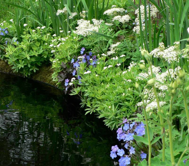 Rhs Chelsea 13 Conversation Garden Ruth Willmott Jardines De Estilo Moderno Homify