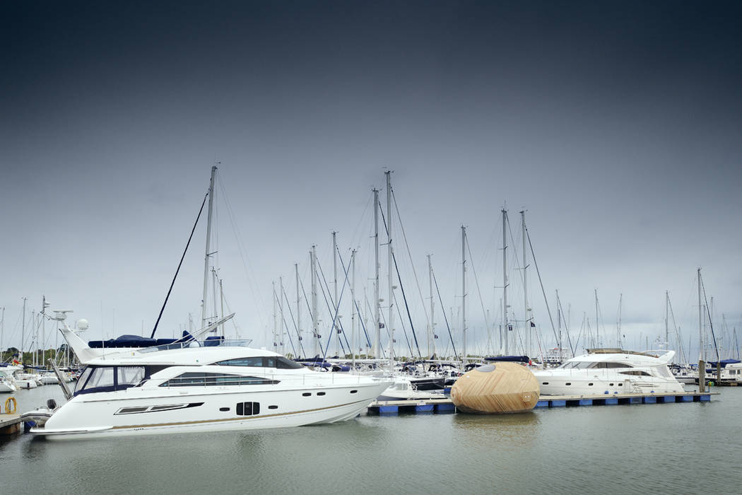 The Exbury Egg in Harbour PAD studio 모던스타일 주택