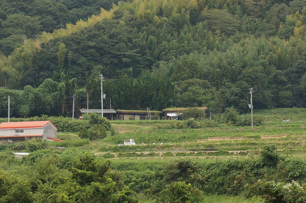 洲本草屋根の家と版築工房, 虎設計工房 虎設計工房 Casas de estilo ecléctico Madera maciza Multicolor