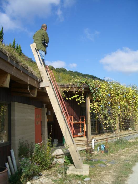 洲本草屋根の家と版築工房, 虎設計工房 虎設計工房 Eclectic style houses Solid Wood Multicolored