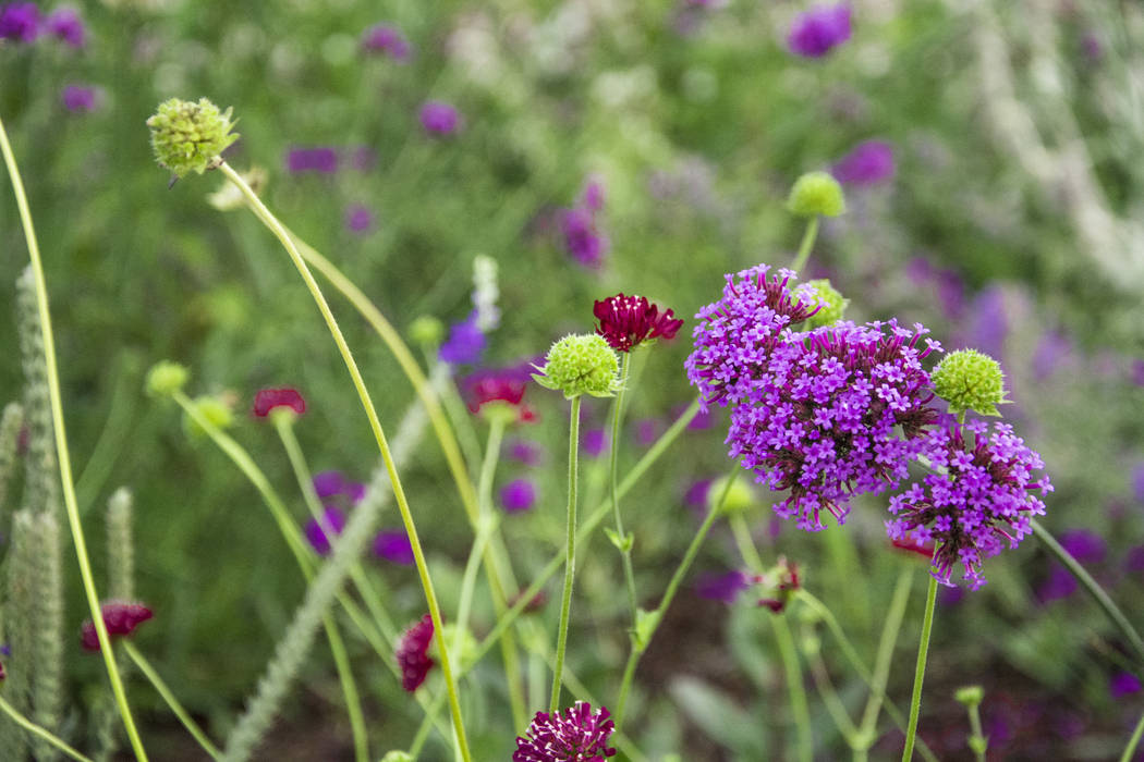 homify Country style garden