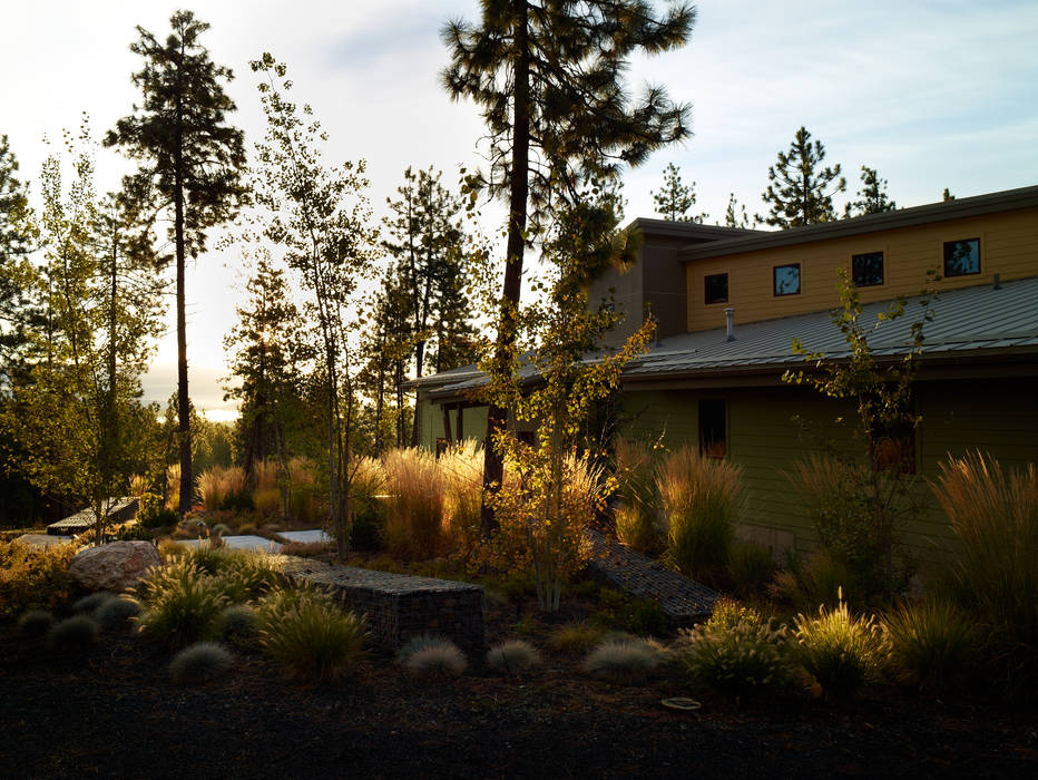 A wild garden in Washington State USA, Bowles & Wyer Bowles & Wyer モダンな庭