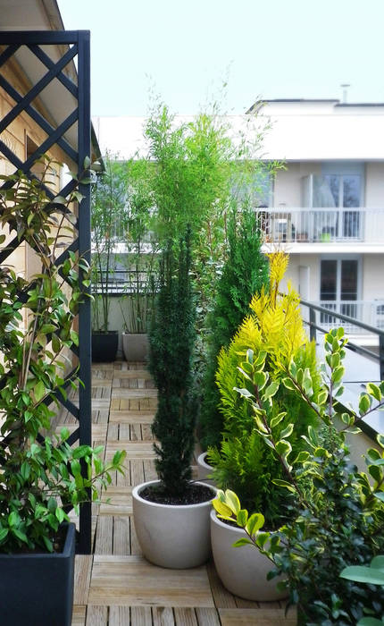 Barrière végétale Skéa Designer Jardin minimaliste Bambou Vert Plante,Léger,Fenêtre,Pot de fleur,Fixation,Plante d&#39;appartement,Immeuble,Végétation,Jaune,Zone résidentielle