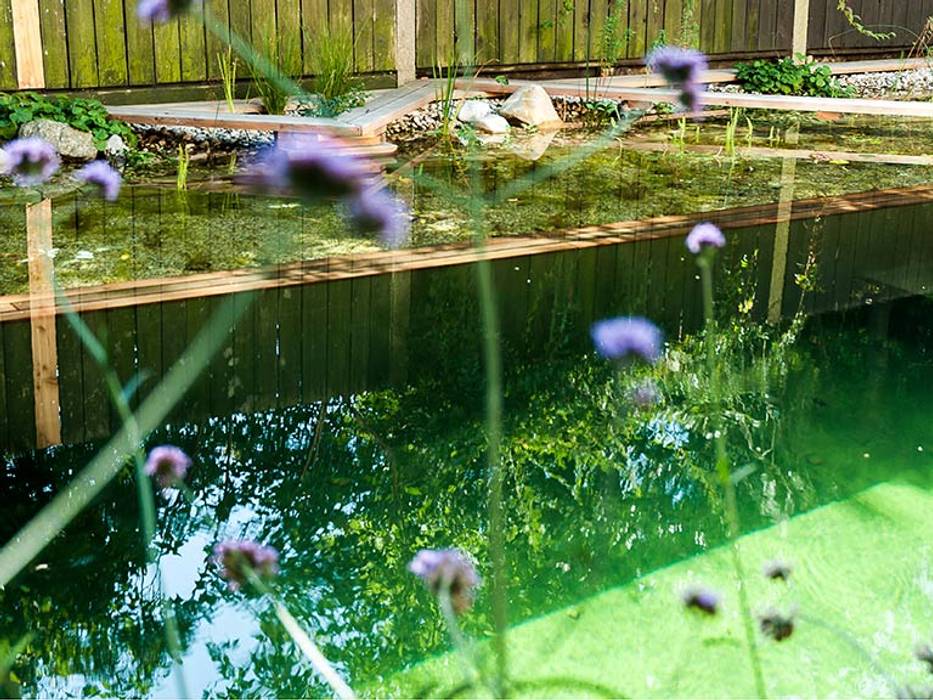 Stadtgarten mit Schwimmteich Kräftner Landschaftsarchitektur Ausgefallener Garten