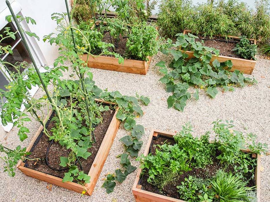 Garten Fichtinger, Kräftner Landschaftsarchitektur Kräftner Landschaftsarchitektur Jardines de estilo mediterráneo