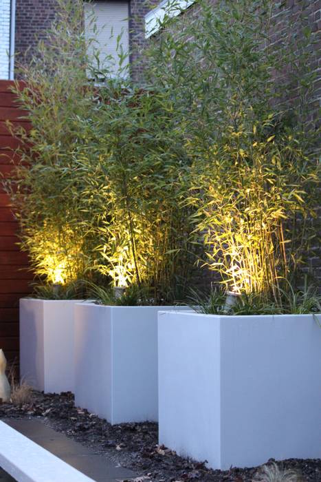 Bloembakken met bamboe Hoveniersbedrijf Guy Wolfs Moderne tuinen