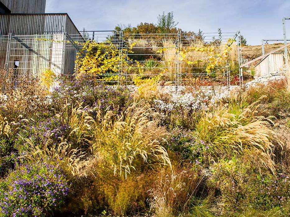 Hanggarten mit Aussicht, Kräftner Landschaftsarchitektur Kräftner Landschaftsarchitektur Jardines modernos