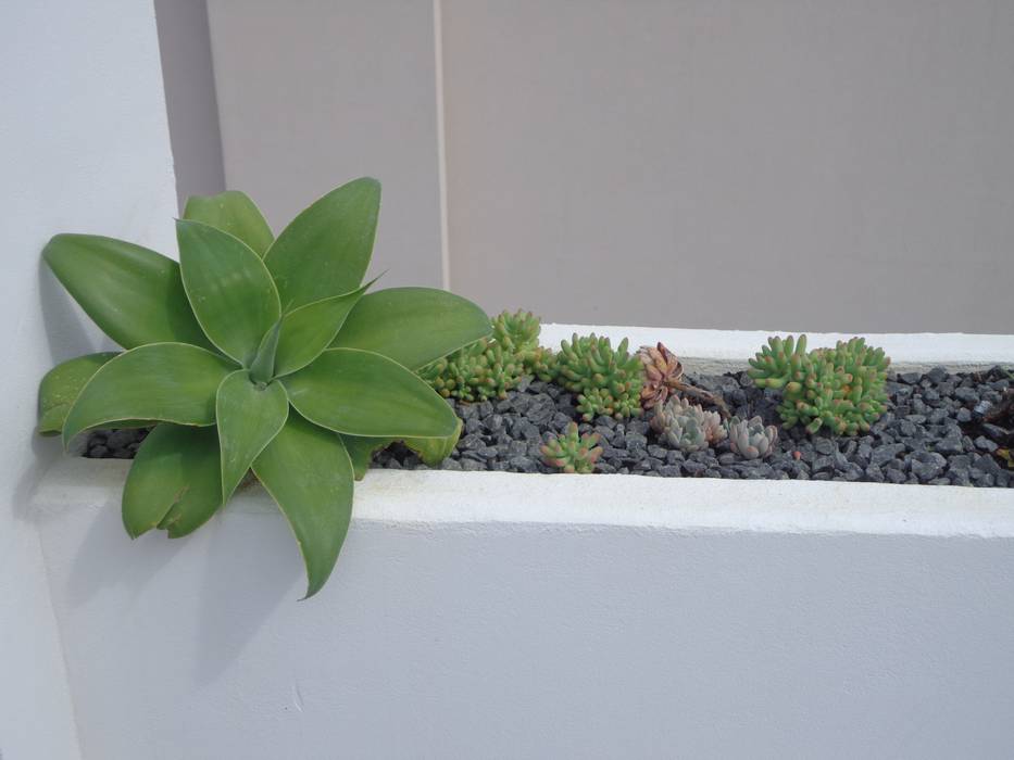 Consigo Interiores Jardines eclécticos
