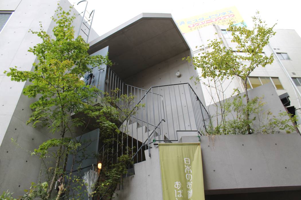 屋上緑化, y-ikegami y-ikegami モダンな 家
