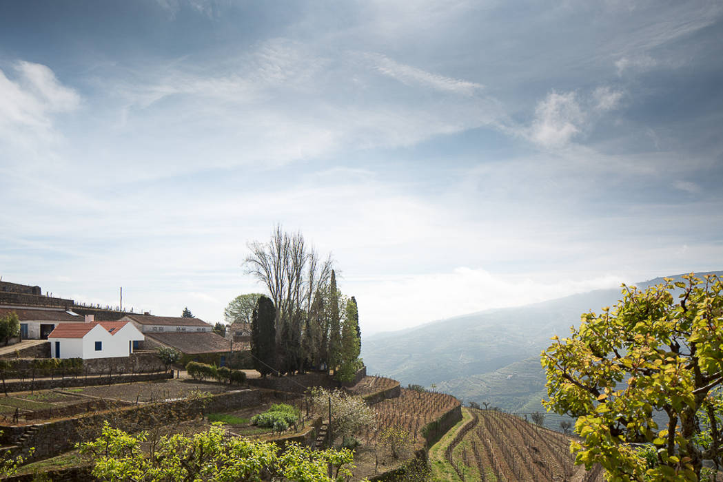 Caseiros House , SAMF Arquitectos SAMF Arquitectos Casas de estilo rural