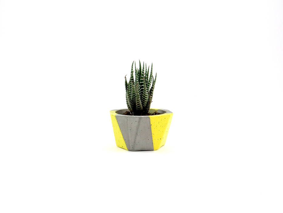Apollo mini matte Jardines minimalistas Plantas y accesorios