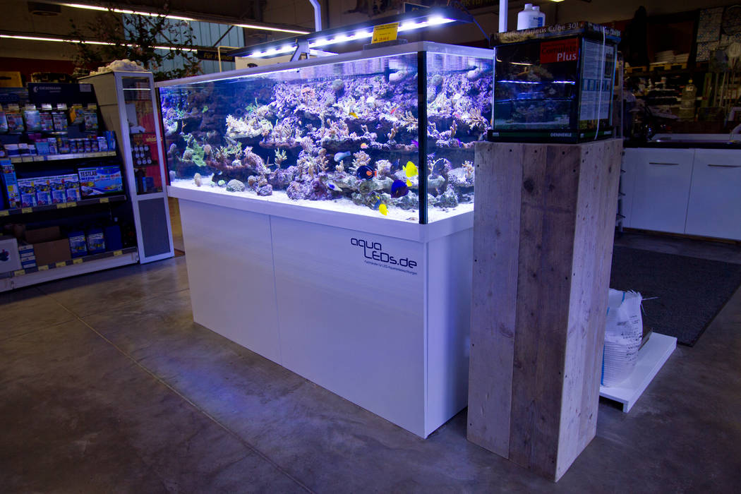 Burdas Tierwelt Von Burdas Tierwelt Gmbh Tropisch Homify