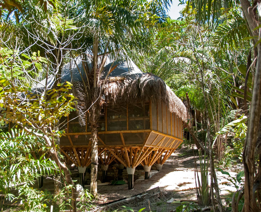 Universo Pol - Morro de San Pablo, IR arquitectura IR arquitectura Tropical style study/office Bamboo Green