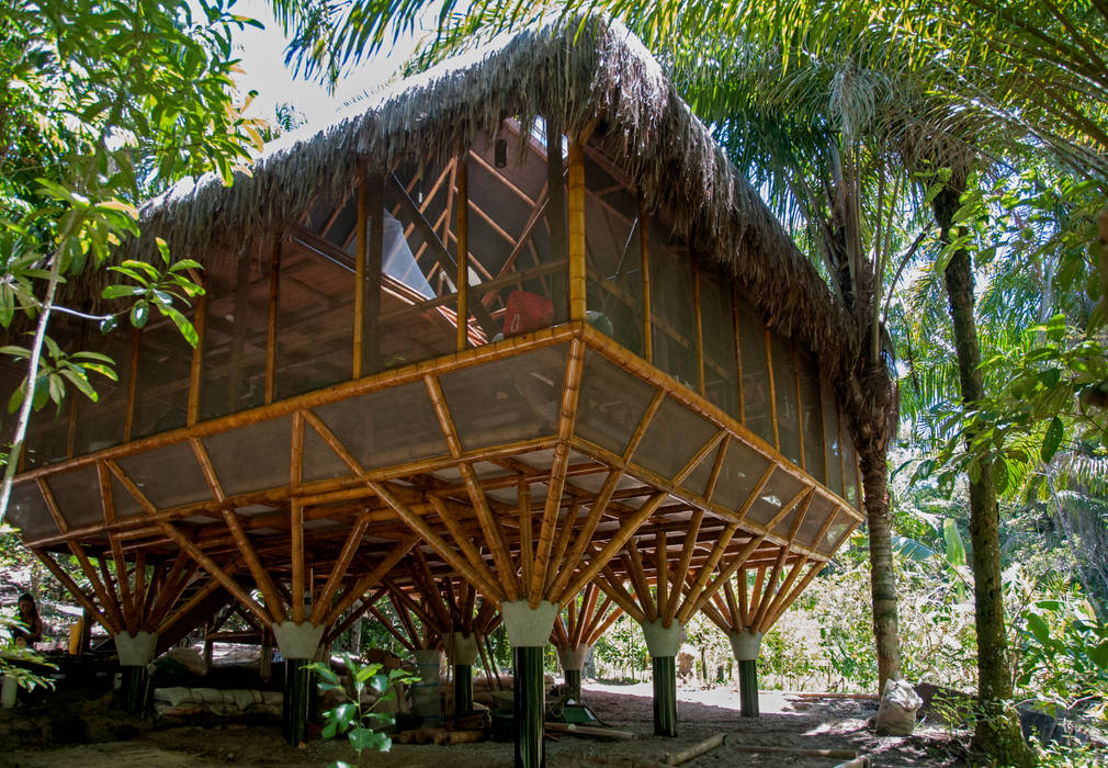 Universo Pol - Morro de San Pablo, IR arquitectura IR arquitectura Tropical style bedroom Bamboo Green