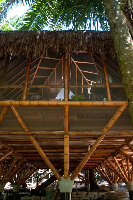 Universo Pol - Morro de San Pablo, IR arquitectura IR arquitectura Balcones y terrazas de estilo tropical Bambú Verde