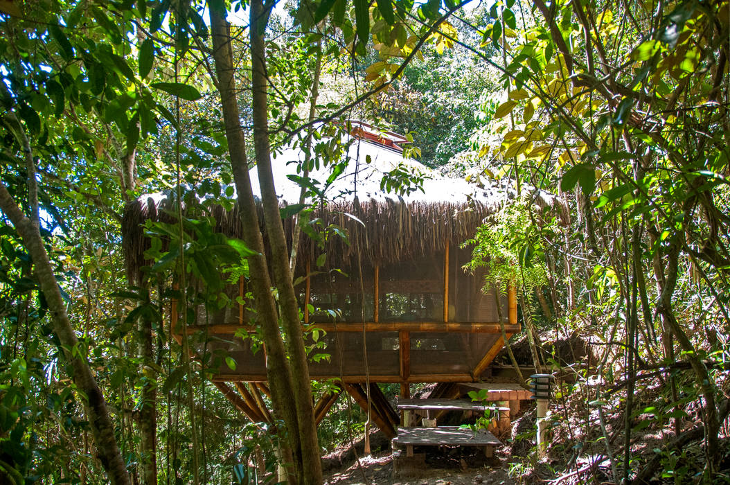 Universo Pol - Morro de San Pablo, IR arquitectura IR arquitectura Casas tropicales Bambú Verde