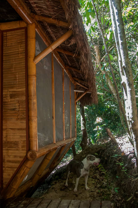 Universo Pol - Morro de San Pablo, IR arquitectura IR arquitectura Tropical style houses Bamboo Green