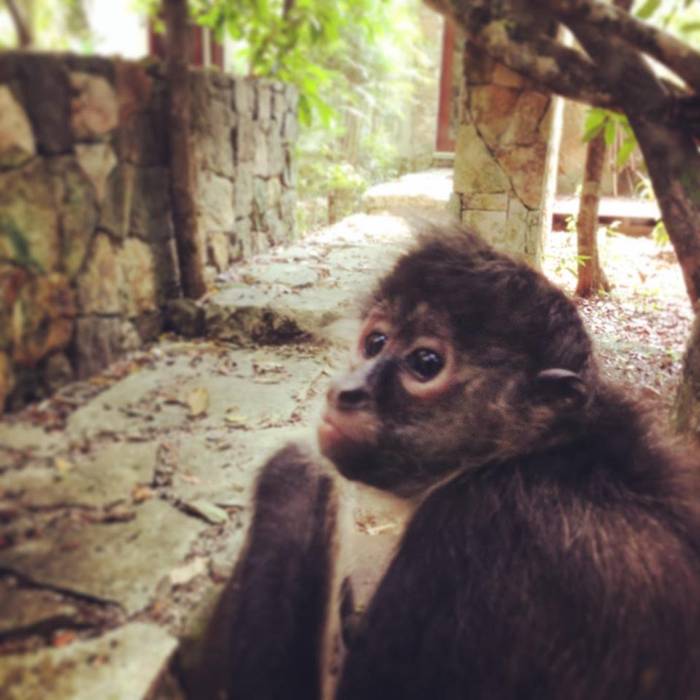 Дома в стиле модерн от IURO Модерн