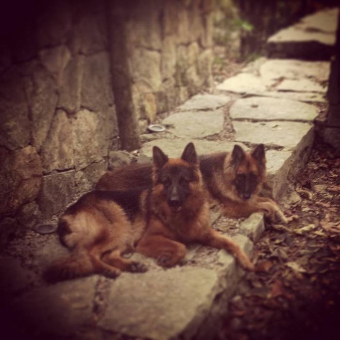 Дома в стиле модерн от IURO Модерн