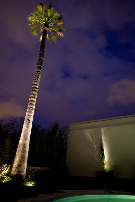 Moradia na Rua do Salitre (Lisboa), Visual Stimuli Visual Stimuli Tropical style garden