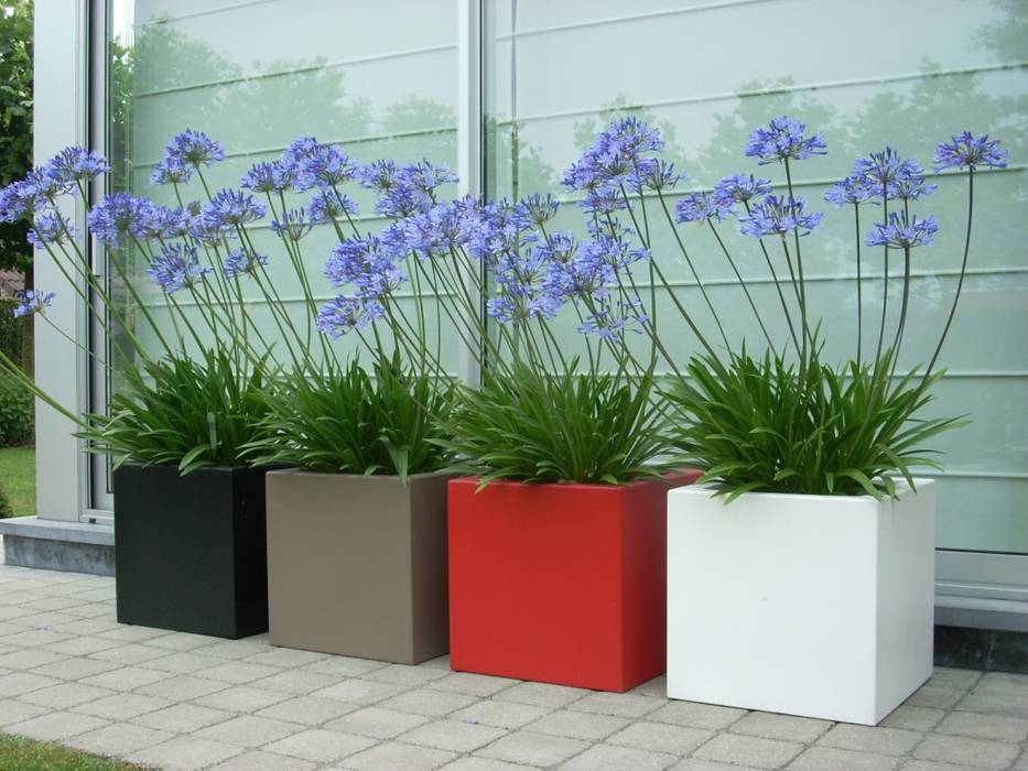 Pots de fleurs, SO GARDEN SO GARDEN Modern Garden Plant pots & vases