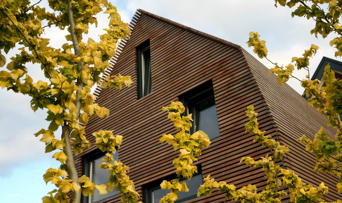 dakopbouw op bestaand bijgebouw, Raymond Horstman Architecten BNA Raymond Horstman Architecten BNA Modern Bedroom Wood Wood effect